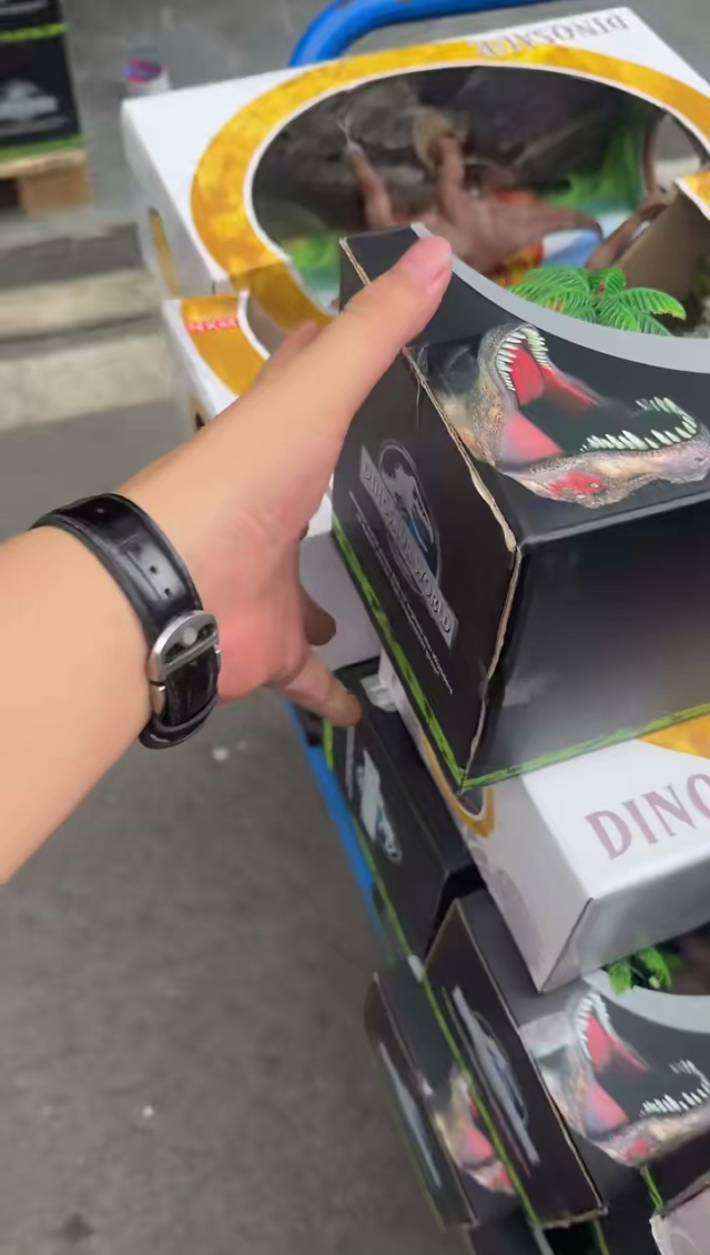 恐龙玩具一百多个8块