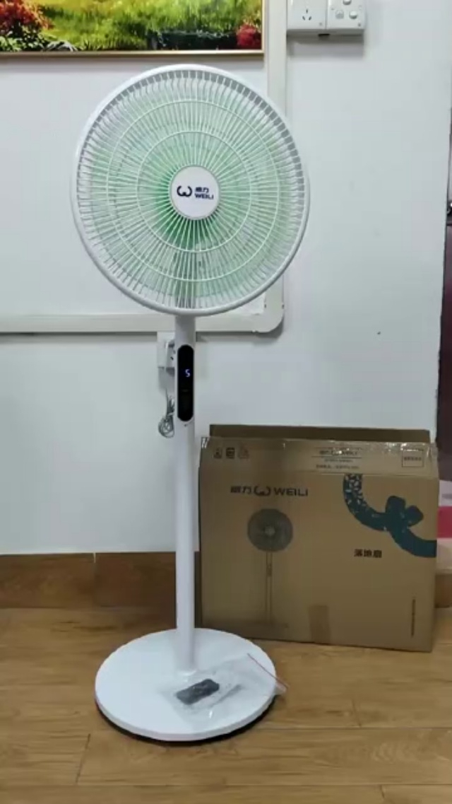 威力风扇现货[强] 