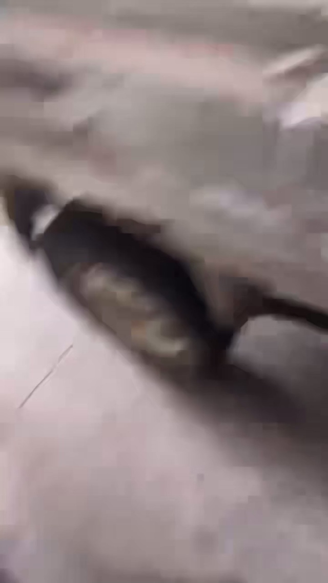 小货一车[庆祝][庆