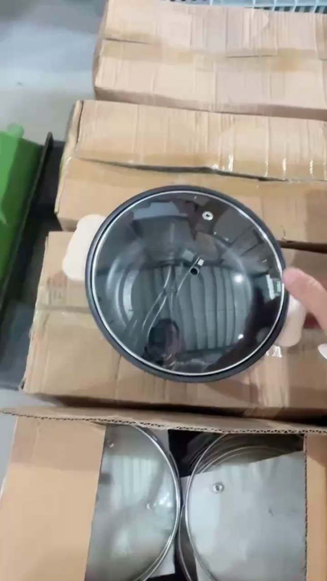 20公分电煮锅裸装3