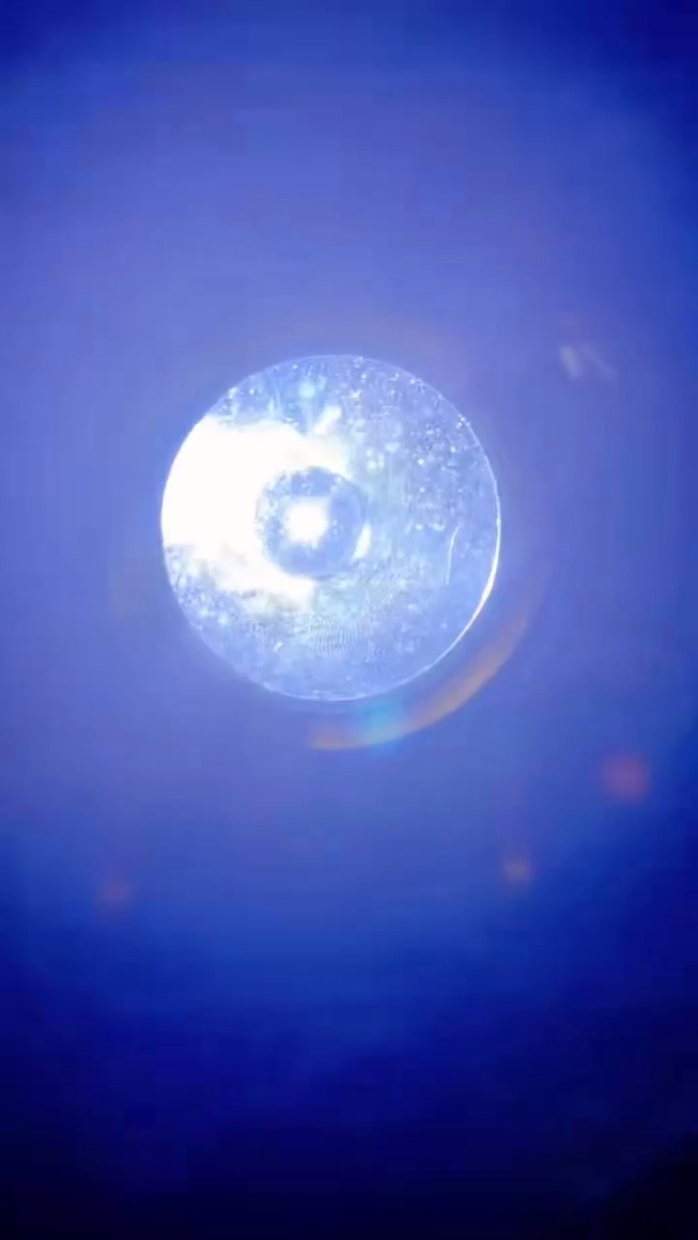 亏本处理一批:LED