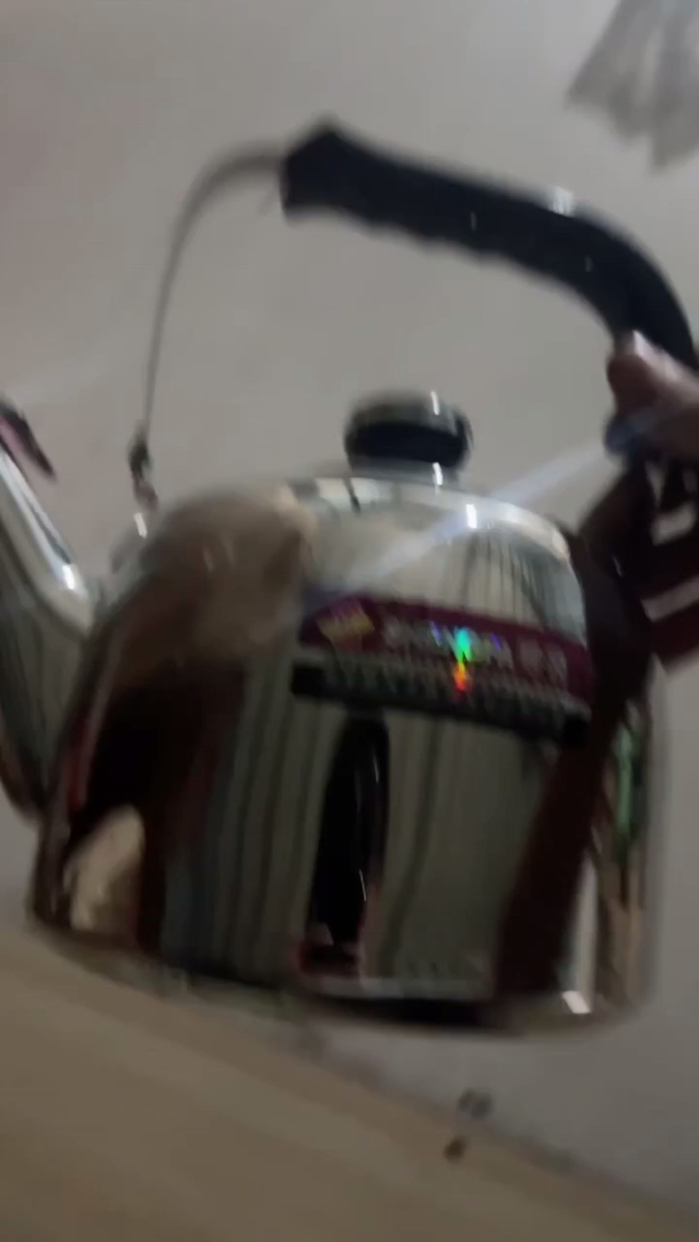 2.5L无磁鸣音水壶